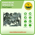 Idaho Blue Spruce Oil