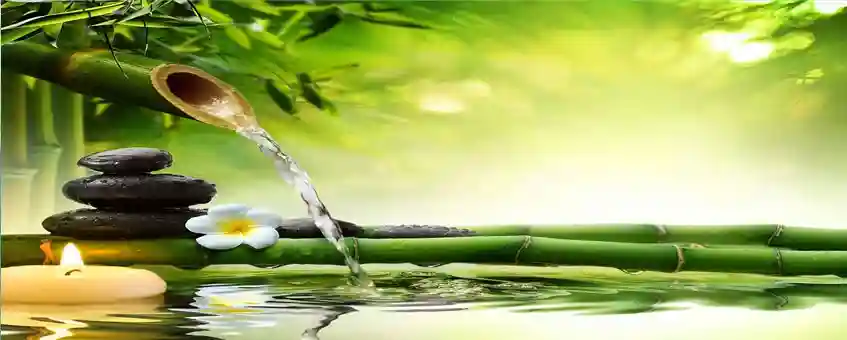 30 Best Uses of Essential Oils