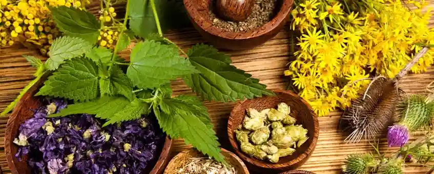 5 Health benefits of Essential Oils