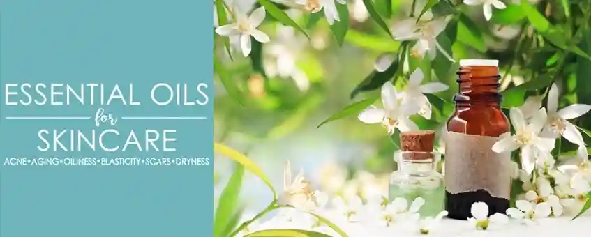 Neroli Essential Oil: The Ideal Face Oil for Skin Care