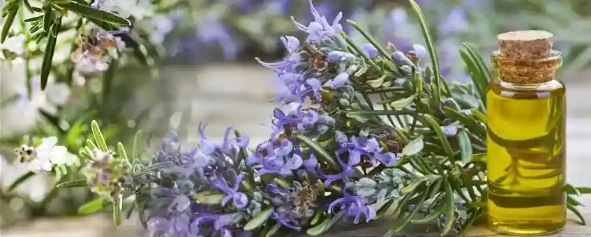 Are Essential Oils Safe? 12 Things to Know Before Use