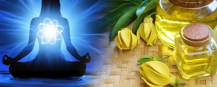 Spiritual Awakening With Ylang Ylang Essential Oil