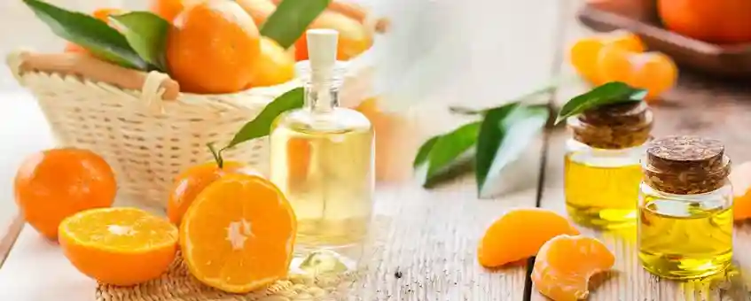 What are Essential Oils and Where They are Used?