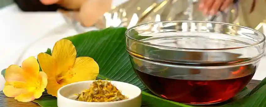 11 Best Essential Oils That Should be In Every Home